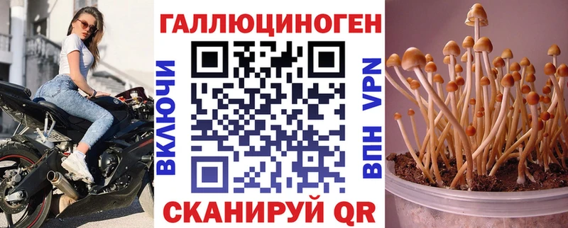 Псилоцибиновые грибы Magic Shrooms  наркошоп  Нефтегорск 